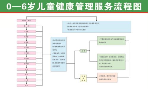 一文读懂国家免费提供基本公共卫生服务项目 31项全覆盖，健康福祉触手可及